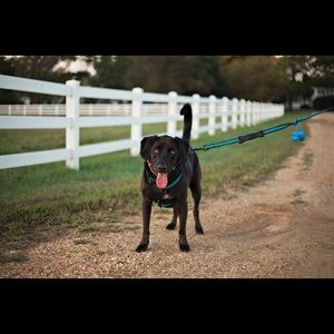 Meet your Posher, Dawn